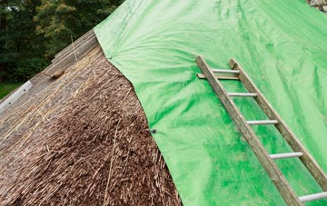 maintaining Cardonald thatch