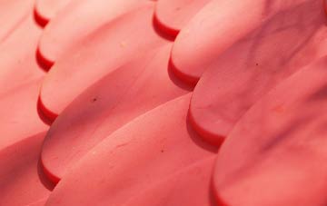 Cardonald plastic roof costs