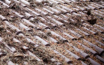 Cardonald roof cleaning companies