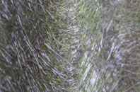 Cardonald fibreglass roof work